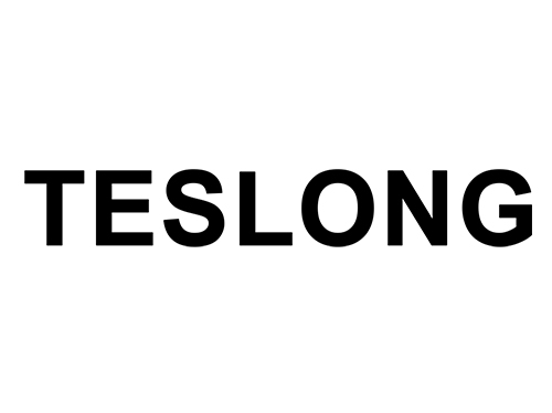Teslong logo